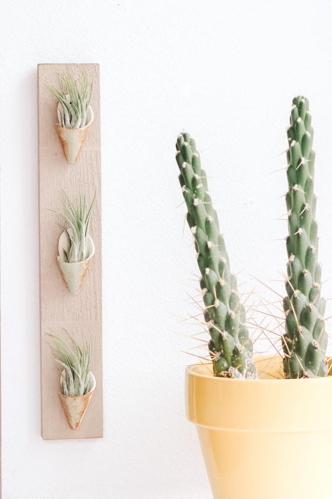 indoor succulent wall planters Modern Sprout
