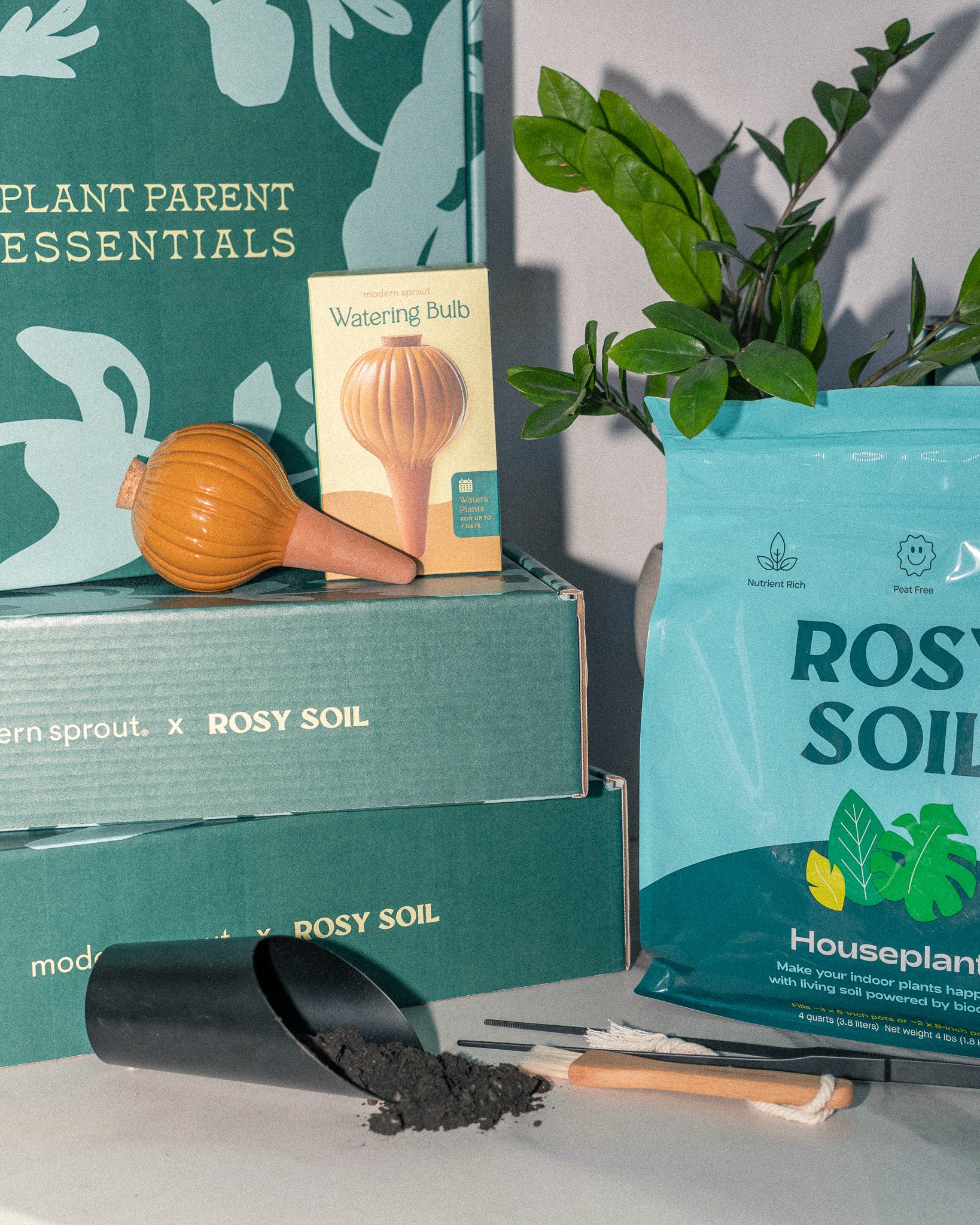 house plant gift set Curated Gift Boxes | Eco-Friendly Sets