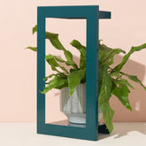 Refurb Smart Portrait Growframe