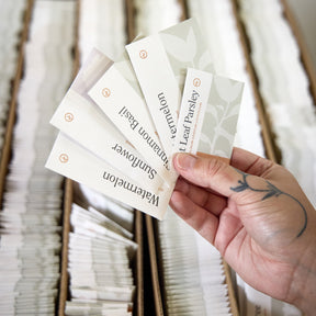 Assorted Seed Packet Collections