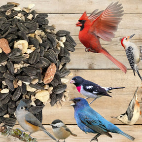 Songbird Symphony Wild Bird Seed Blend