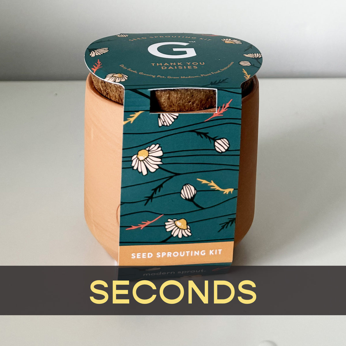 Tiny Terracotta - Seconds
