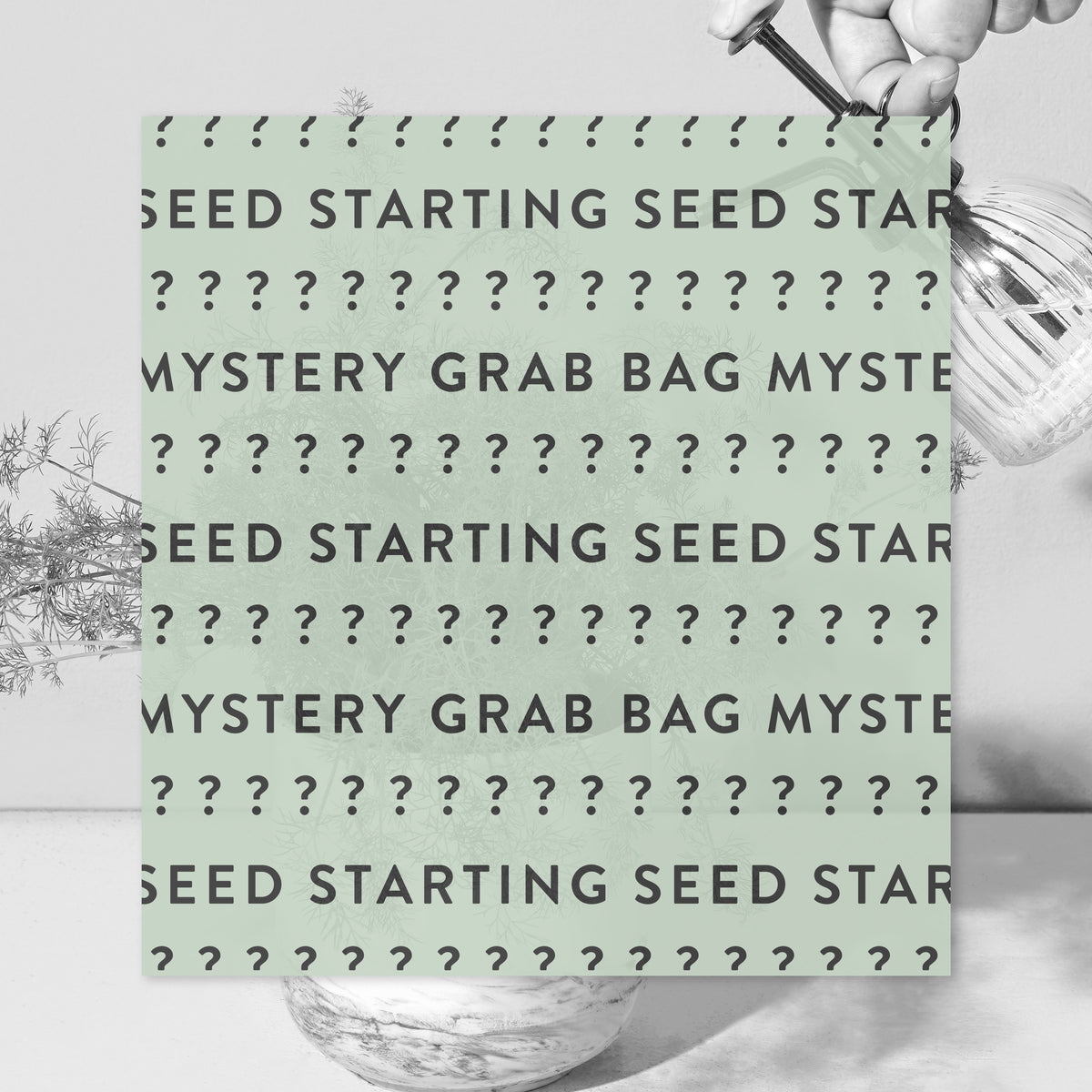 Mystery Grab Bag - Seed Starting