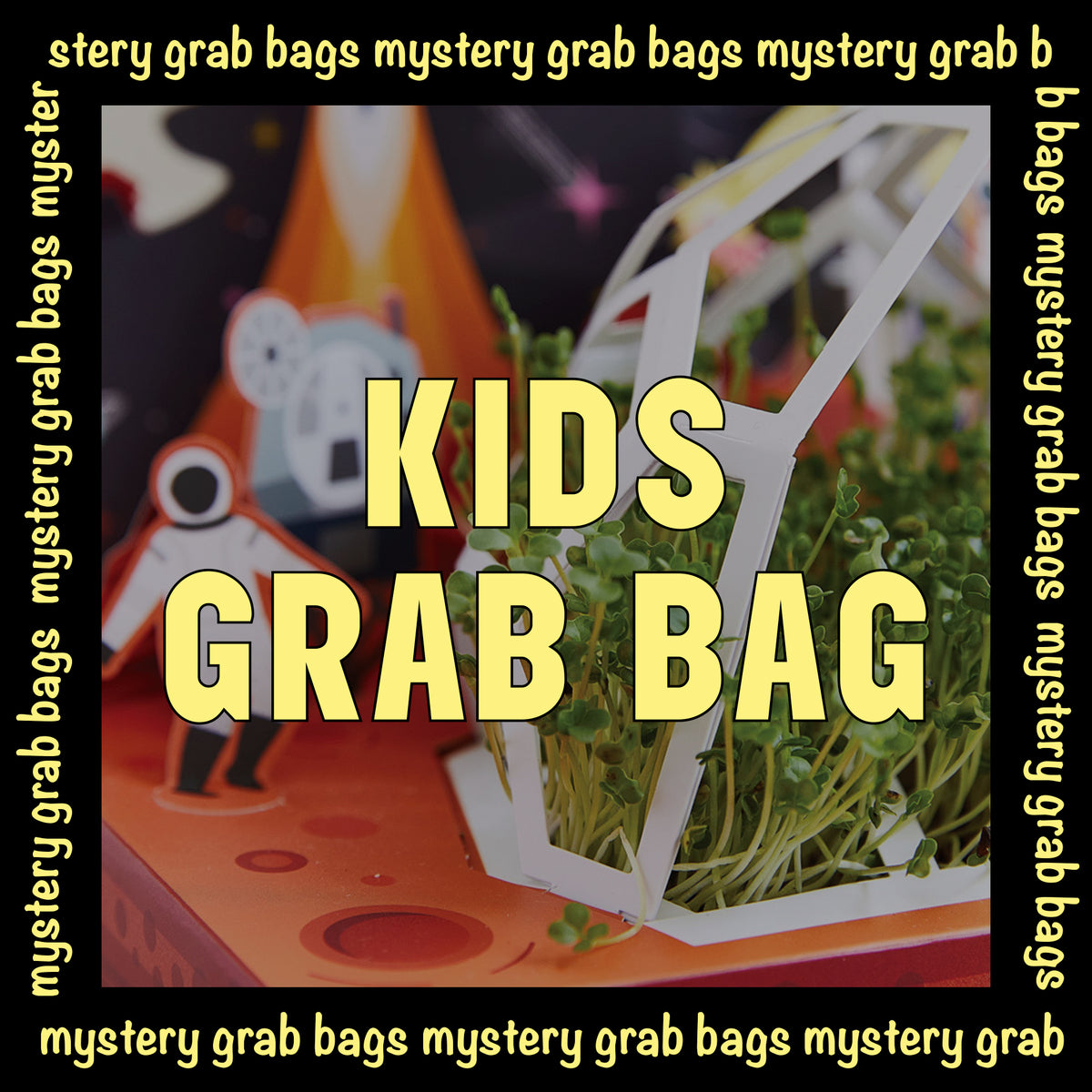 Mystery Grab Bag - Kids