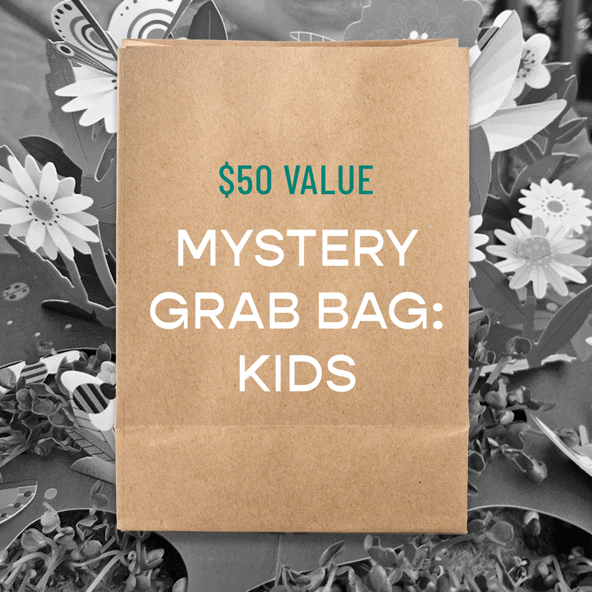 Mystery Grab Bag - Kids
