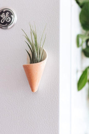 Mini Wall Planter Magnet