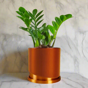 Mid-Century Ribbed Planter with Drainage and Saucer