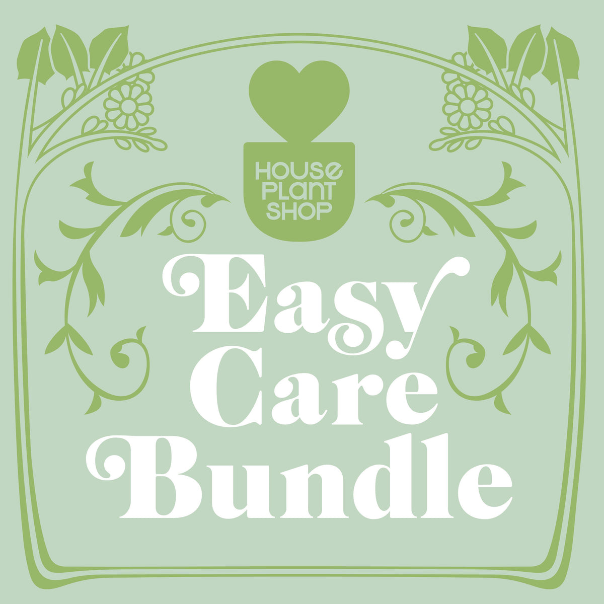 Easy Care Variety Plant Bundle