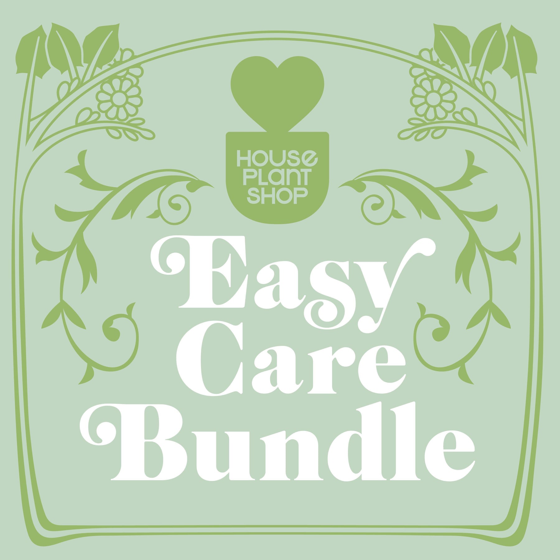 Easy Care Variety Plant Bundle