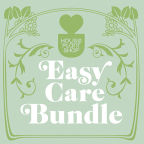 Easy Care Variety Plant Bundle