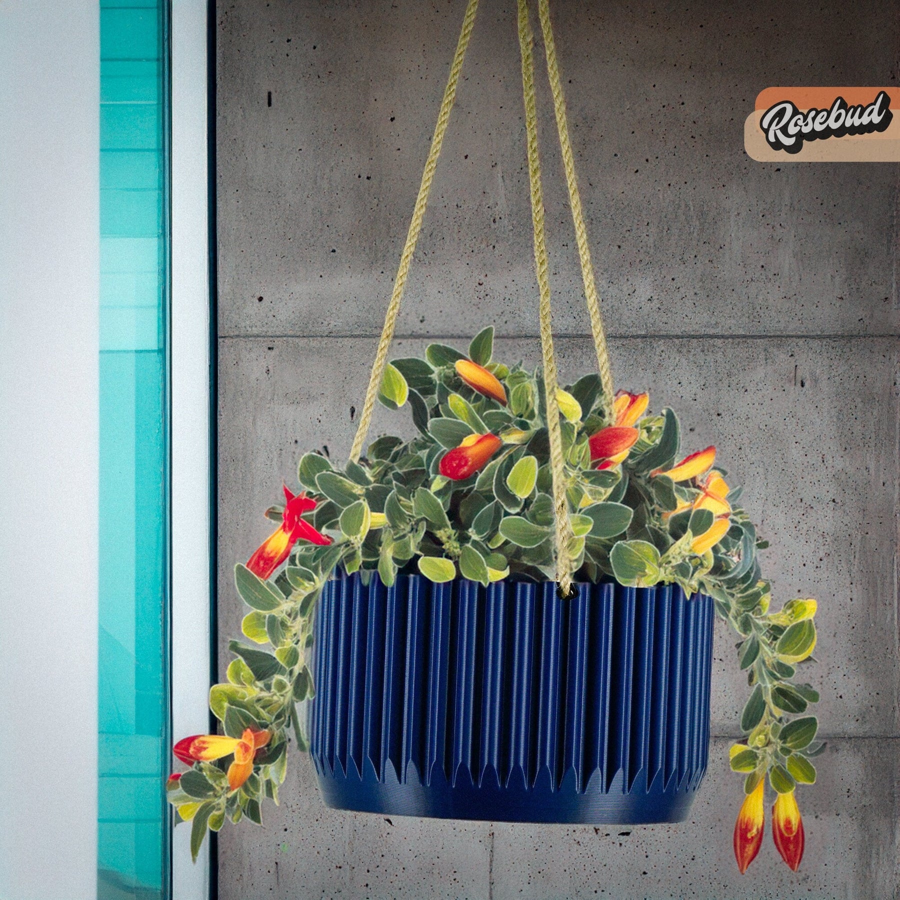 MCR Bowl Hanging Plant Pot