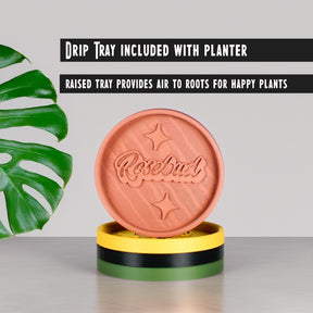 Mid-Century Ribbed Planter with Drainage and Saucer