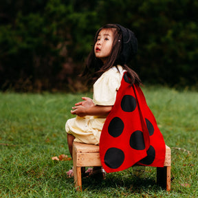 Ladybug Wings Costume