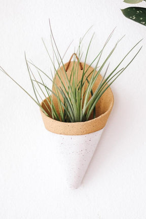 Large Ceramic Wall Planter