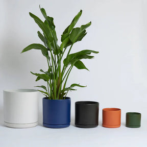 Solid Goods - Ceramic Cylinder Planter with Saucer