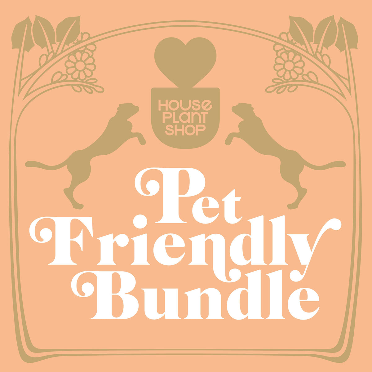 Pet Friendly Houseplant Variety Bundle