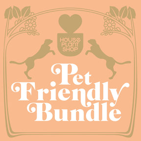 Pet Friendly Houseplant Variety Bundle