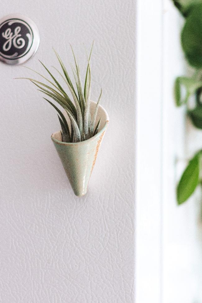 Mini Wall Planter Magnet