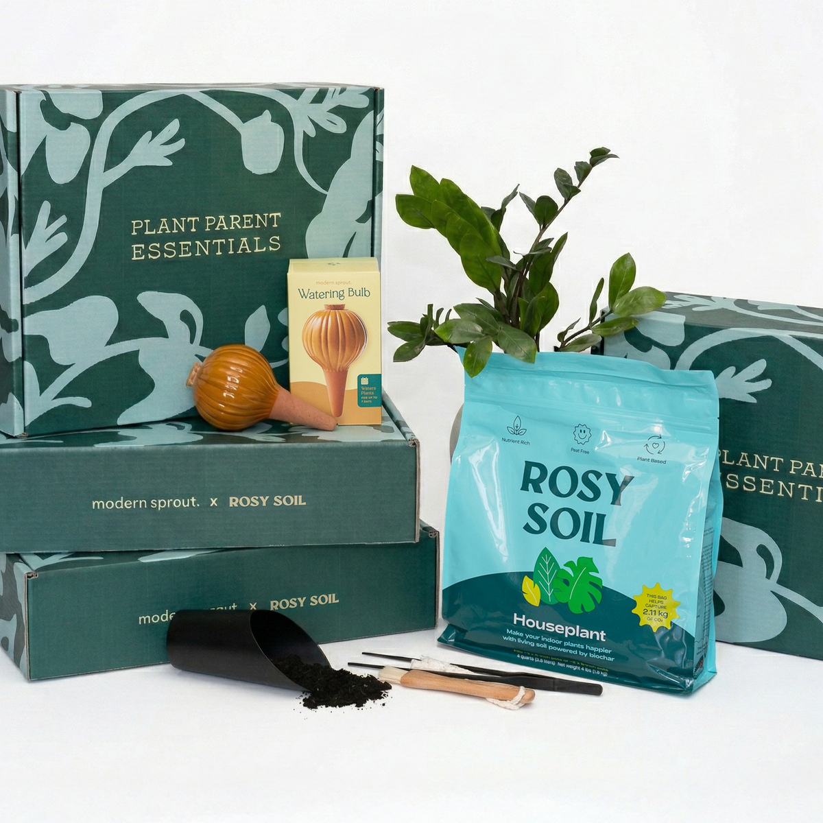 Plant Parent Essentials Gift Set - Rosy Soil x Modern Sprout