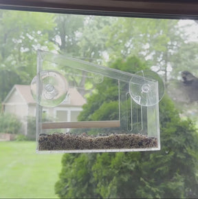 Birds on the Block Window Birdfeeder