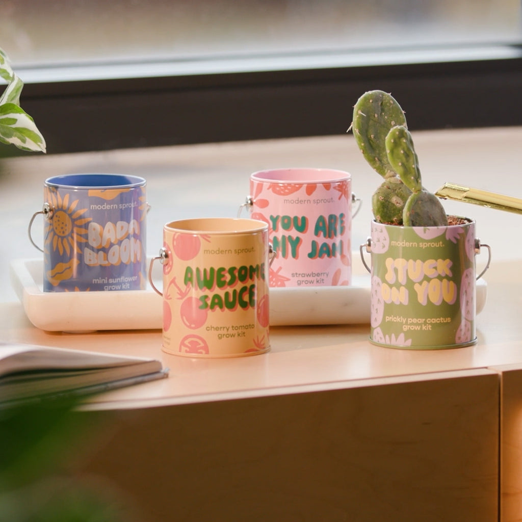 Complimentary cans grow kits. Perfect stocking stuffer, teacher gift or present for yourself. Grow plants and flowers at home, just add water.