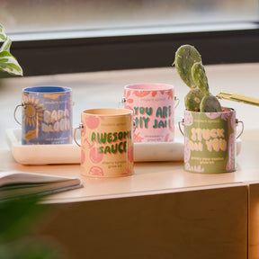 Complimentary cans grow kits. Perfect stocking stuffer, teacher gift or present for yourself. Grow plants and flowers at home, just add water.