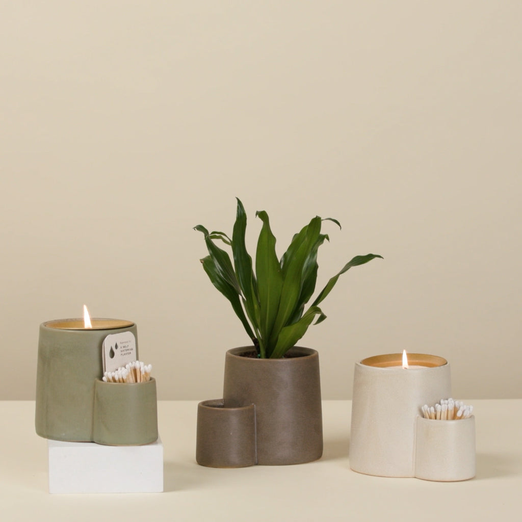 A beautiful ceramic candle that comes with 50 matches. When done burning, remove the candle and you have a bottom-watering planter. A perfect gift.