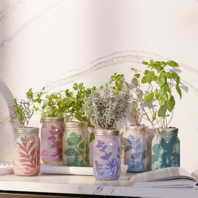 Garden Jars - Organic Herbs