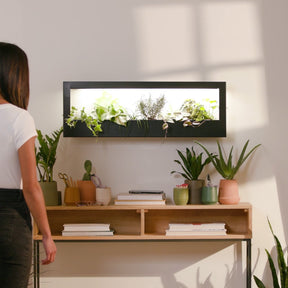 Smart Standard Growframe