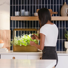 Keep plants happy anywhere in your home. Smart app enabled grow light features a warm light that enhances your decor rather than detracting from it.