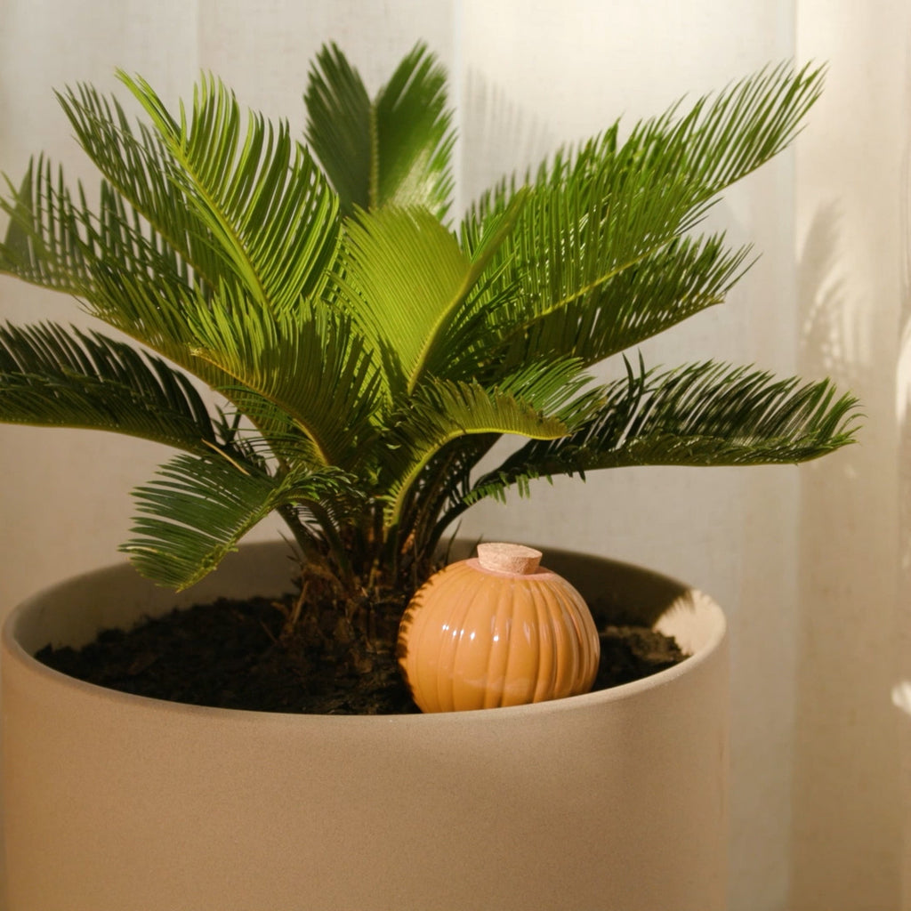 Keep your plants hydrated with ease with a beautiful terracotta watering bulb. Take the guesswork out of plant care.