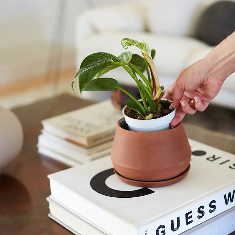 ceramic house plant pots The Rancho Planter Terra / 6 Inch