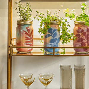 Product image of Garden Jars - Organic Herbs