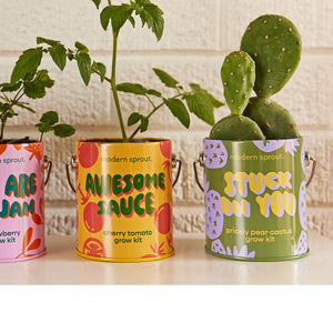 Product image of Complimentary Colors Grow Kits