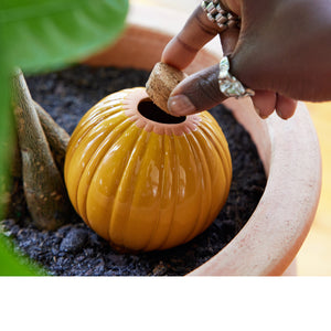 Product image of Terracotta Watering Bulbs