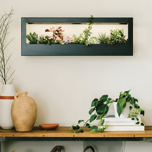 Product image of Smart Landscape Growframe