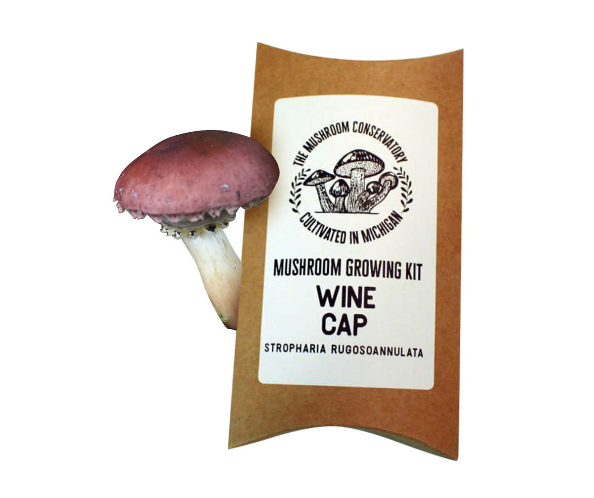 Wine Cap Gourmet Mushroom Grow Kit