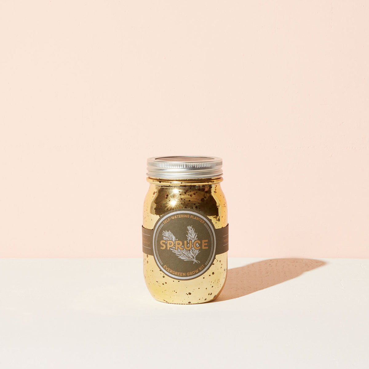 GJ_Spruce_de55b35a-87e3-4215-