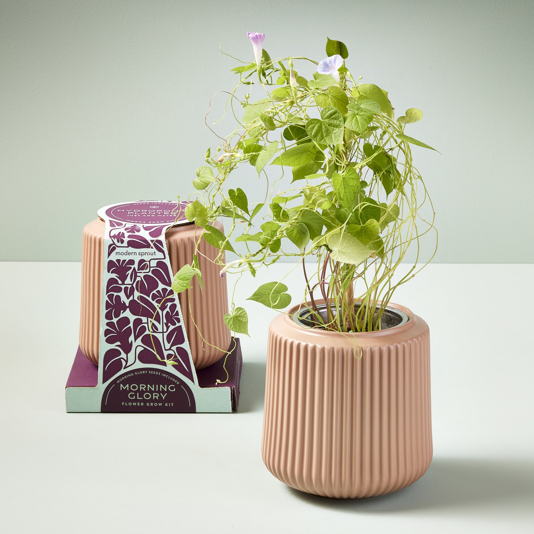 Indoor Garden Kit and Flower Bouquet - The Flower Fix