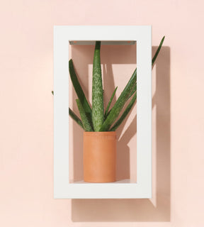 Portrait Growframe - Matte White