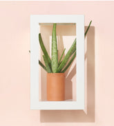 Portrait Growframe - Matte White