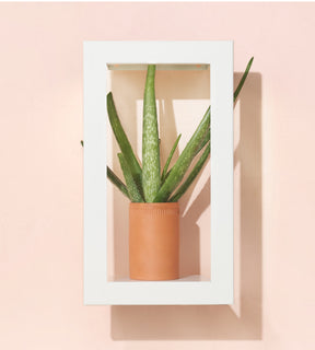 Portrait Growframe - Matte White