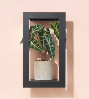 Portrait Growframe - Matte Black