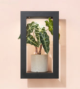 Portrait Growframe - Matte Black