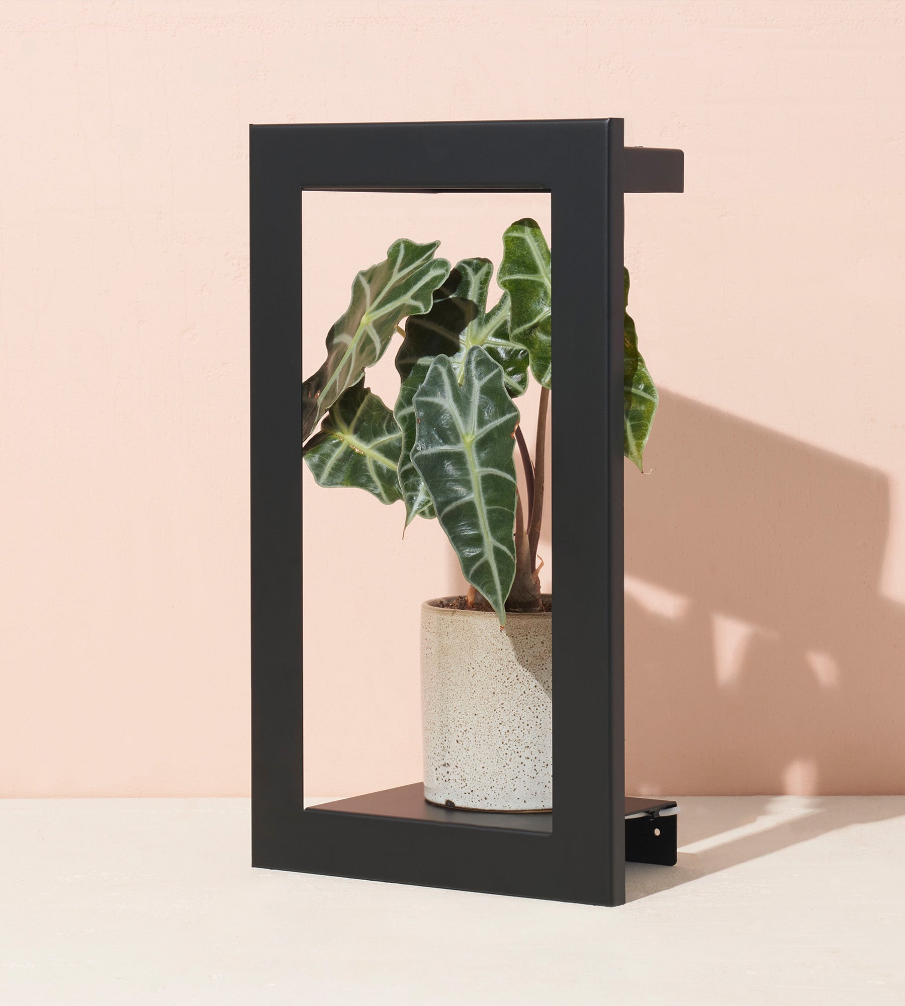 Portrait Growframe - Matte Black