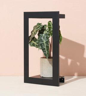 Portrait Growframe - Matte Black