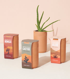 Terracotta Grow Kits