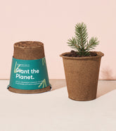 One-For-One Tree Kit featuring a biodegradable pot and a young pine sapling, promoting eco-friendly planting.