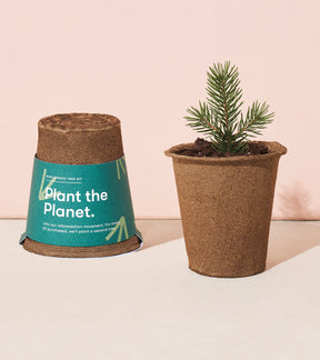One-For-One Tree Kits