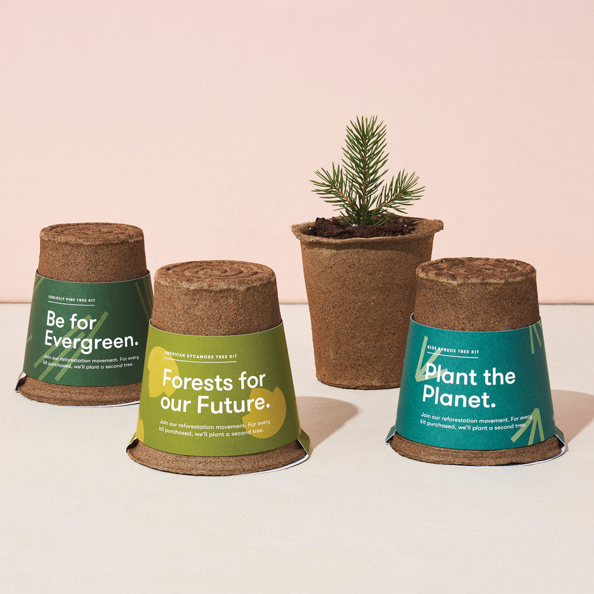  Bonsai Tree kit -NIFSEL Bonsai Growing Kit - Complete Starter  kit, 5 Types of Trees - Culture Medium, Plant Marker, Burlap Pots - Indoor  Garden Gardening - Unique Garden Gift, Housewarming